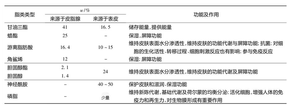 功效评价,新指标,皮肤表面,脂质分析