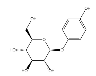 美白,酪氨酸酶,酪氨酸酶,黑色素,DOPA