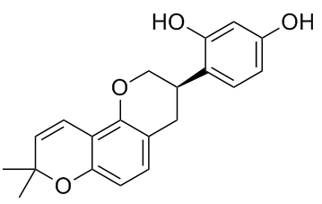 美白,酪氨酸酶,酪氨酸酶,黑色素,DOPA